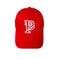 Purple Hat  Mesh Stitching Embroidery PB001#